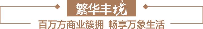 九游app入口：『星河盛境御府』2024网站-星河盛境御府祥情-深圳房天下(图9)