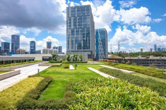 大咖签约落地深圳罗湖人工智能行动发布(图4)