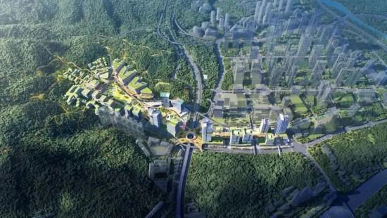 大咖签约落地深圳罗湖人工智能行动发布(图3)