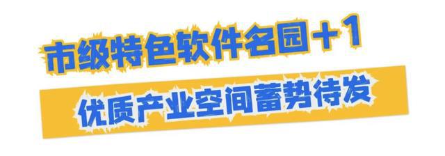大咖签约落地深圳罗湖人工智能行动发布(图8)