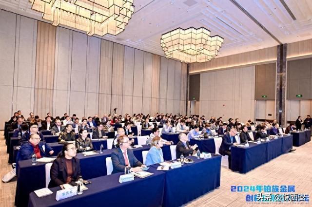 九游app入口：探索铂族金属创新应用领域2024年铂族金属创新应用百人论坛召开