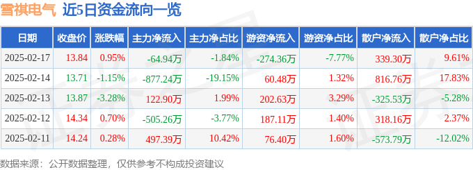 股票行情快报：雪祺电气（001387）2月17日主力资金净卖出6494万元