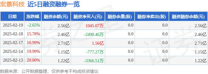 九游app入口：宏景科技（301396）2月19日主力资金净卖出200582万元(图2)