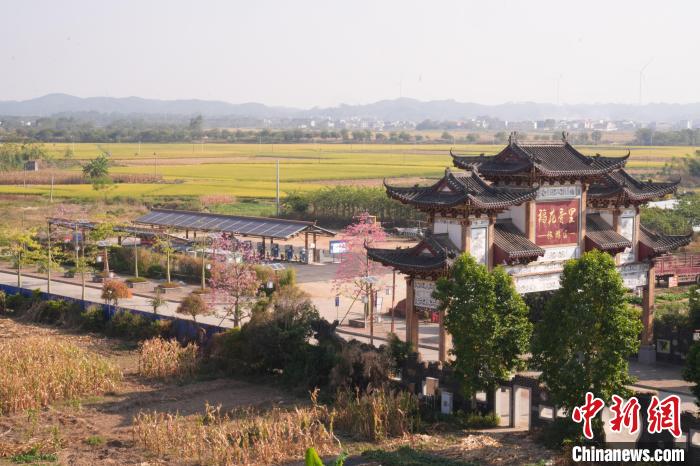 九游体育：让乡村风景更绿！广西基本建成3100个新时代农业农村电气化村(图3)