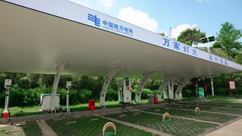 九游app入口：绿电点金六堡飘香(图3)