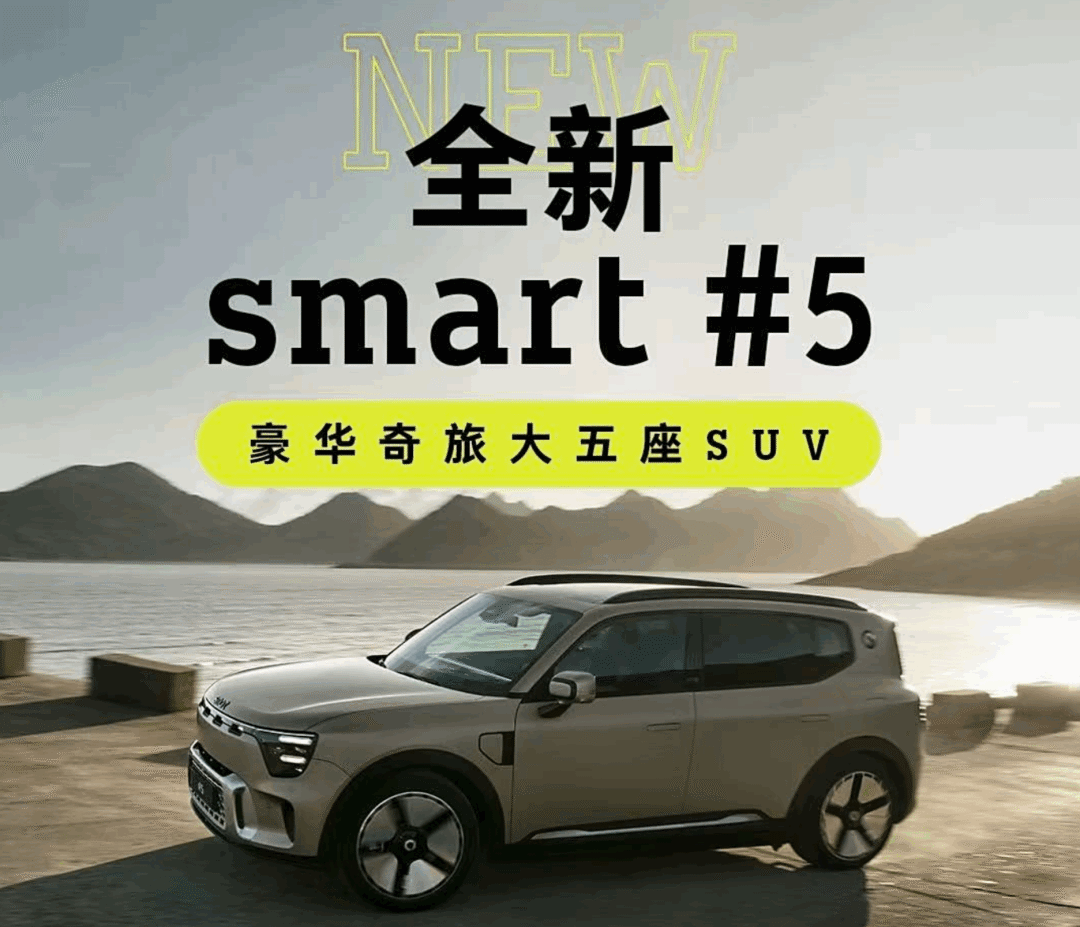 紧急辟谣后元戎启行如何走出生存危机？(图1)