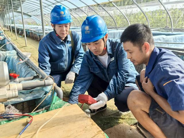 焦作沁阳：电力护航“金鱼经济”点亮乡村振兴路(图1)