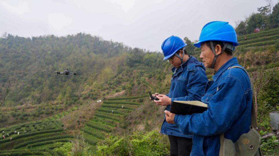 九游app：安徽东至：电力赋能茶产业提质增效奔振兴(图2)