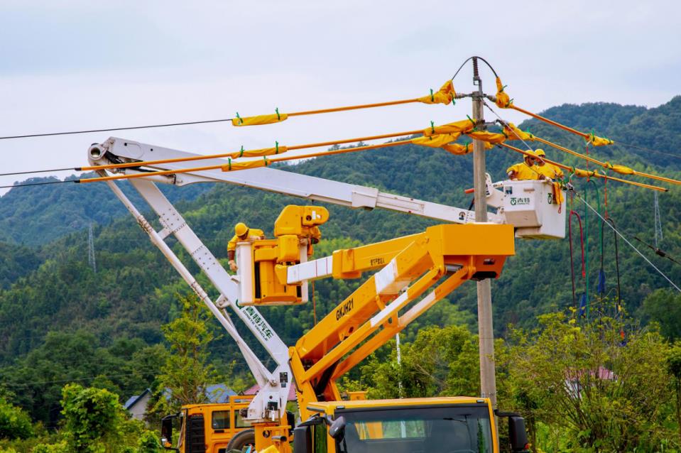 九游app：安徽东至：电力赋能茶产业提质增效奔振兴(图4)
