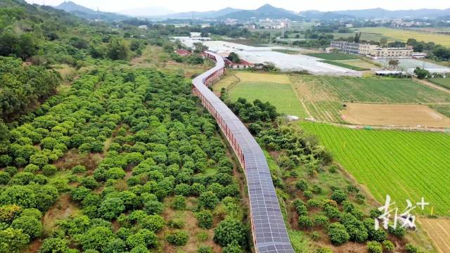 一季度用电量增长757%！经济第一大省一度电的“价值巨变”(图2)