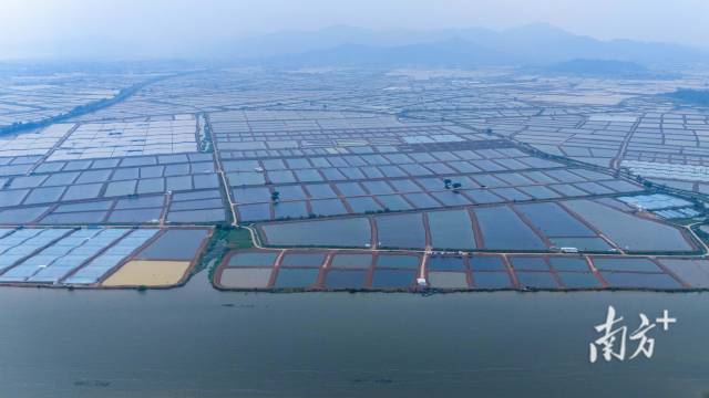 一季度用电量增长757%！经济第一大省一度电的“价值巨变”(图3)