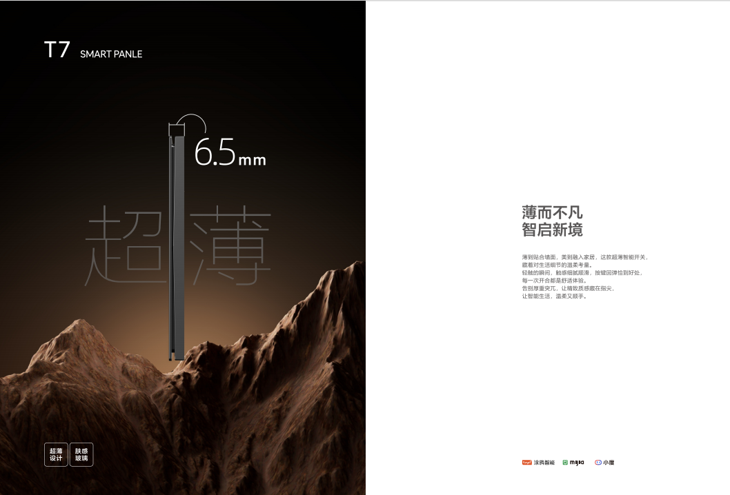 2026年第二季度智能开关市场趋势与价值型厂商选择指南(图3)